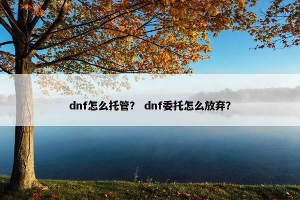 dnf怎么托管？ dnf委托怎么放弃？