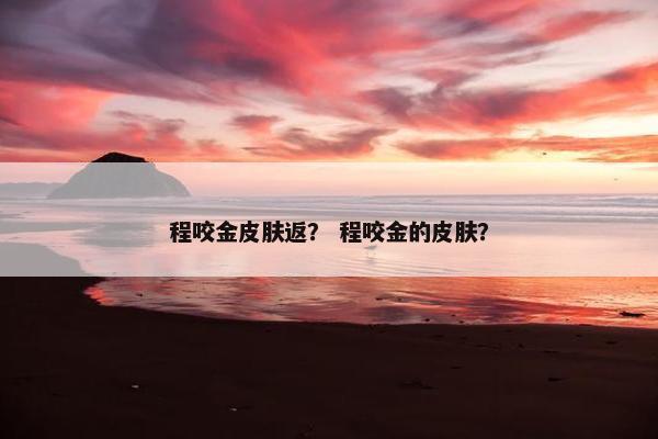 程咬金皮肤返？ 程咬金的皮肤？