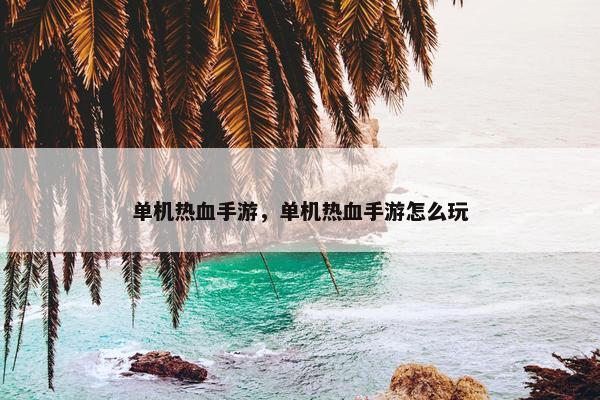 单机热血手游，单机热血手游怎么玩