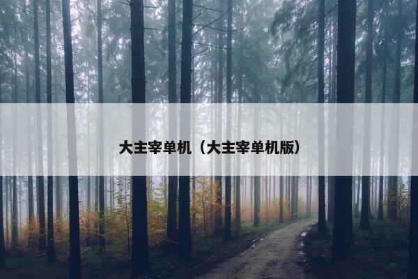 大主宰单机（大主宰单机版）