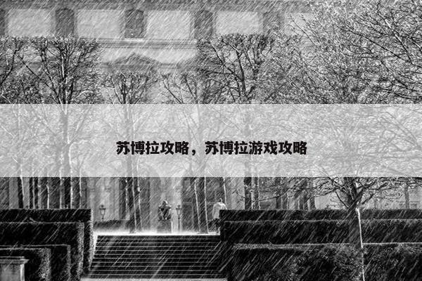 苏博拉攻略，苏博拉游戏攻略
