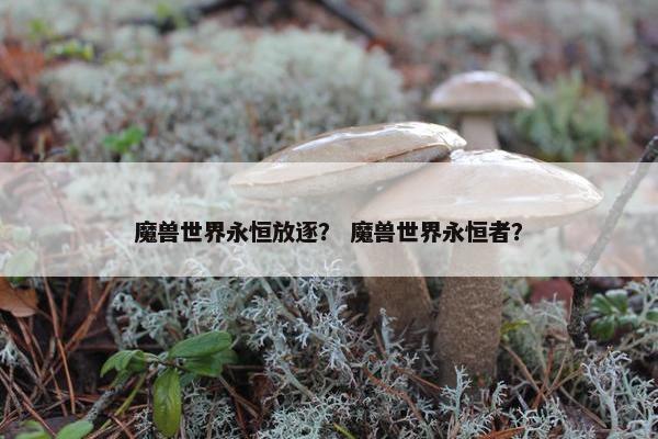魔兽世界永恒放逐？ 魔兽世界永恒者？