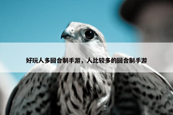 好玩人多回合制手游，人比较多的回合制手游