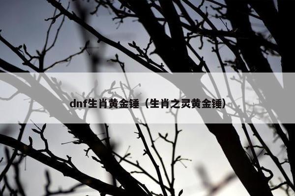 dnf生肖黄金锤（生肖之灵黄金锤）