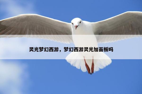 灵光梦幻西游，梦幻西游灵光加面板吗