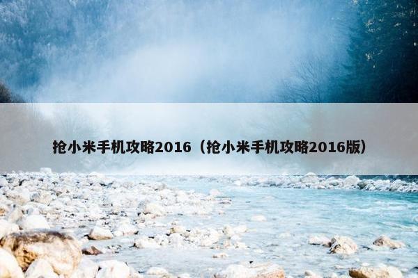 抢小米手机攻略2016（抢小米手机攻略2016版）