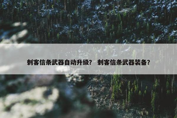 刺客信条武器自动升级？ 刺客信条武器装备？