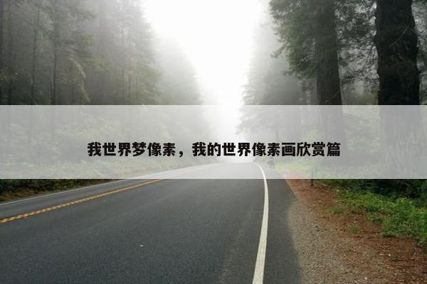我世界梦像素，我的世界像素画欣赏篇