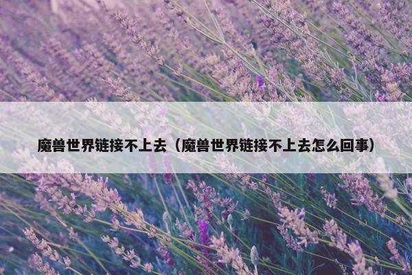 魔兽世界链接不上去（魔兽世界链接不上去怎么回事）