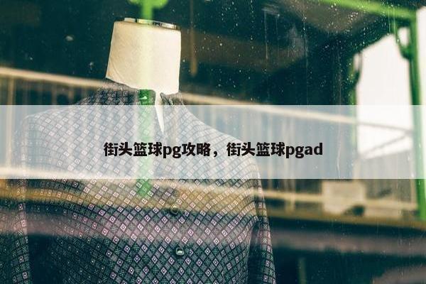 街头篮球pg攻略，街头篮球pgad