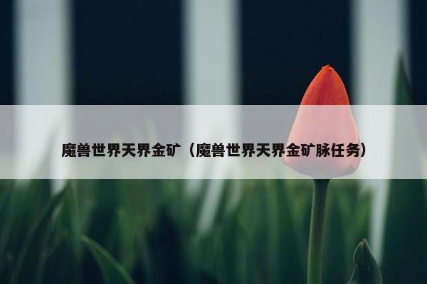 魔兽世界天界金矿（魔兽世界天界金矿脉任务）
