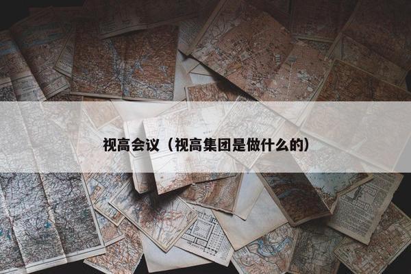 视高会议（视高集团是做什么的）