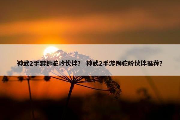 神武2手游狮驼岭伙伴？ 神武2手游狮驼岭伙伴推荐？