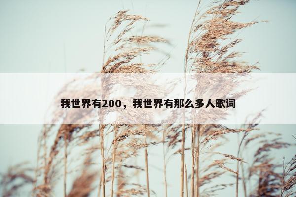 我世界有200，我世界有那么多人歌词