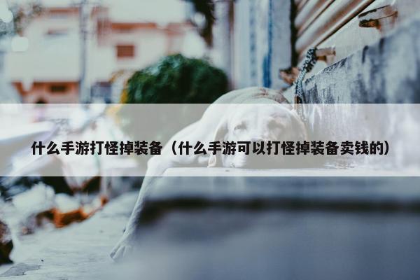 什么手游打怪掉装备（什么手游可以打怪掉装备卖钱的）