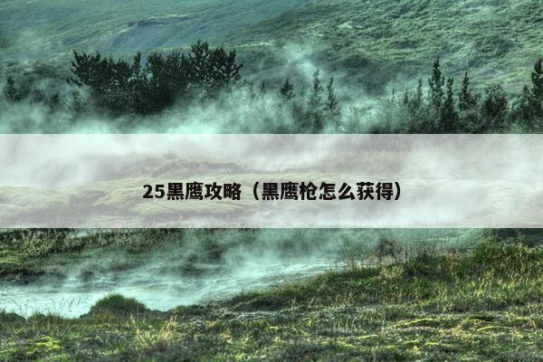 25黑鹰攻略（黑鹰枪怎么获得）
