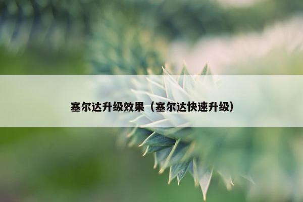 塞尔达升级效果（塞尔达快速升级）
