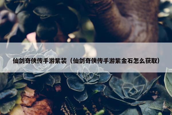 仙剑奇侠传手游紫装（仙剑奇侠传手游紫金石怎么获取）