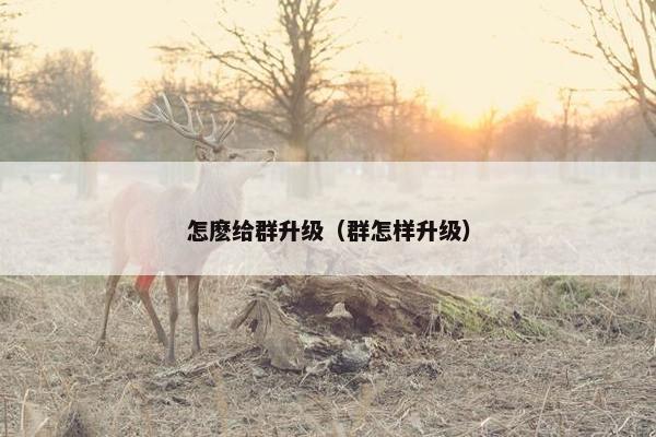 怎麽给群升级（群怎样升级）
