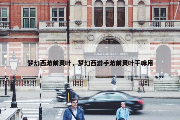 梦幻西游前灵叶，梦幻西游手游前灵叶干嘛用