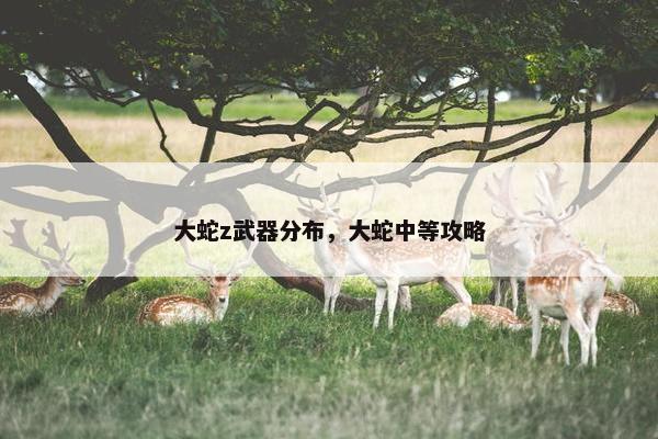 大蛇z武器分布，大蛇中等攻略