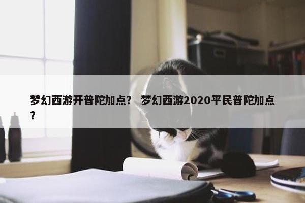 梦幻西游开普陀加点？ 梦幻西游2020平民普陀加点？