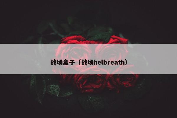 战场盒子（战场helbreath）