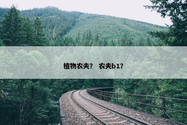 植物农夫？ 农夫b1？