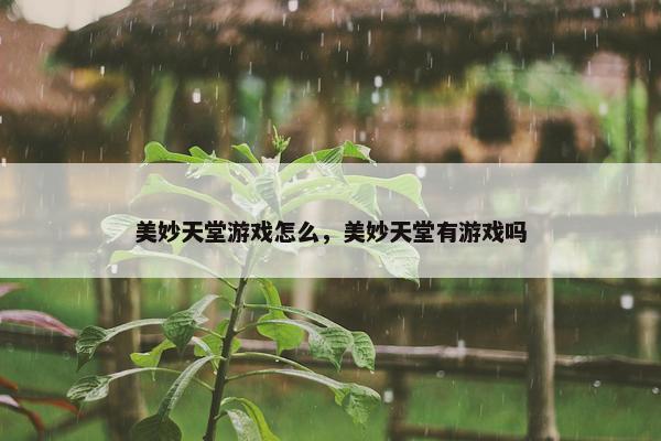 美妙天堂游戏怎么，美妙天堂有游戏吗