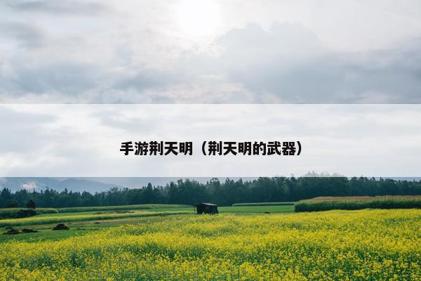 手游荆天明（荆天明的武器）