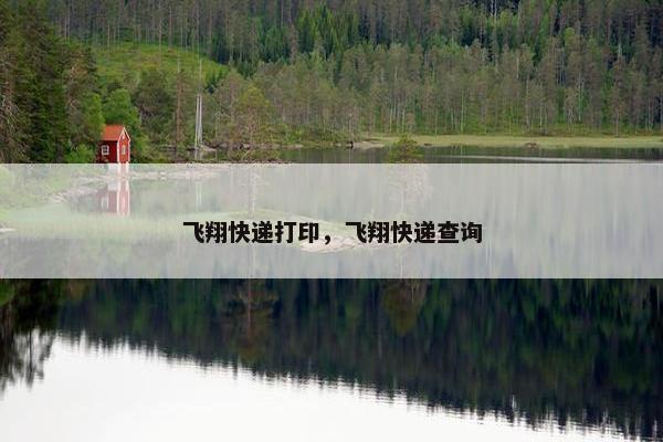 飞翔快递打印，飞翔快递查询