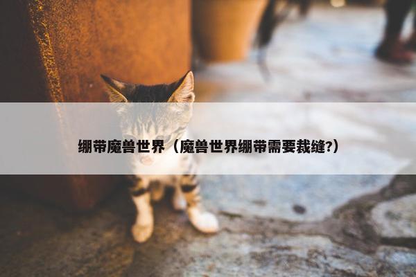 绷带魔兽世界（魔兽世界绷带需要裁缝?）