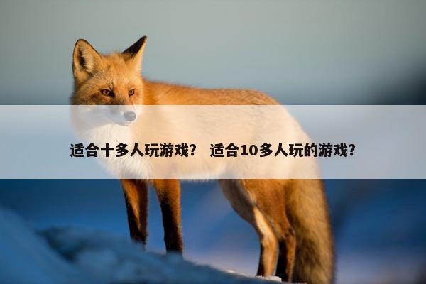适合十多人玩游戏？ 适合10多人玩的游戏？