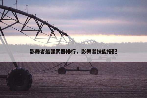 影舞者最强武器排行，影舞者技能搭配