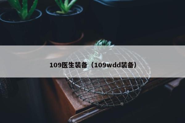 109医生装备（109wdd装备）