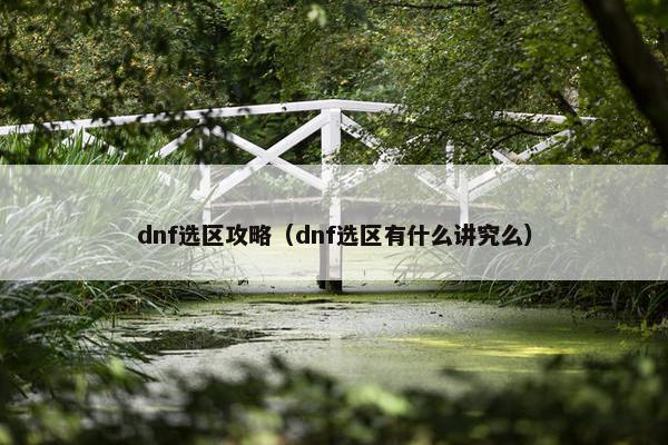 dnf选区攻略（dnf选区有什么讲究么）