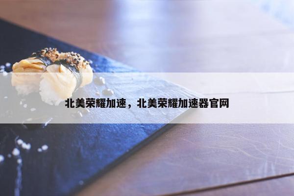 北美荣耀加速，北美荣耀加速器官网