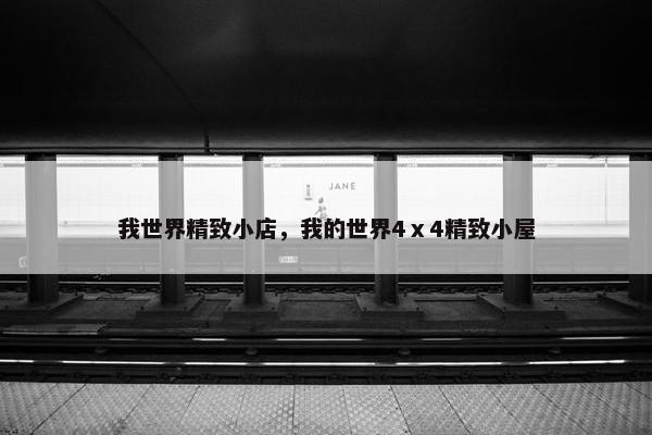 我世界精致小店，我的世界4ⅹ4精致小屋
