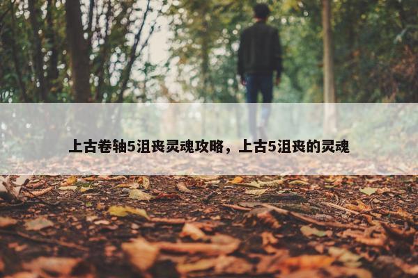 上古卷轴5沮丧灵魂攻略，上古5沮丧的灵魂