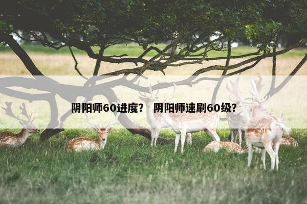 阴阳师60进度？ 阴阳师速刷60级？