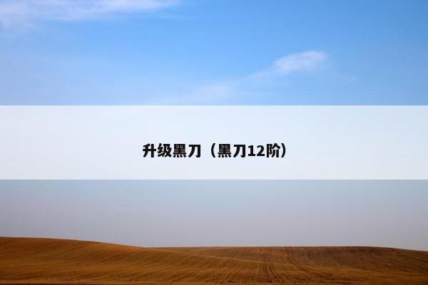 升级黑刀（黑刀12阶）