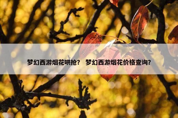 梦幻西游烟花哄抢？ 梦幻西游烟花价格查询？
