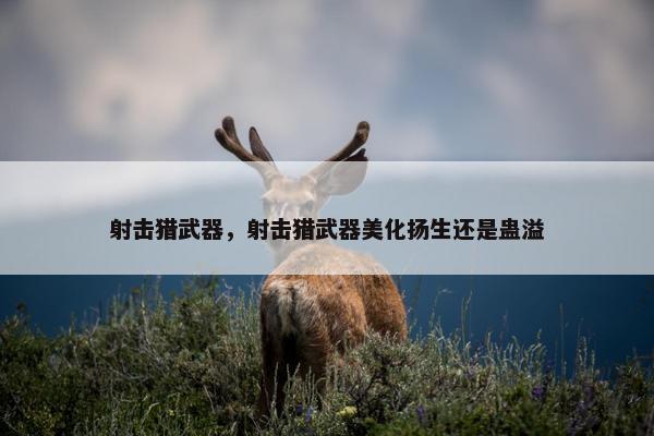 射击猎武器，射击猎武器美化扬生还是蛊溢