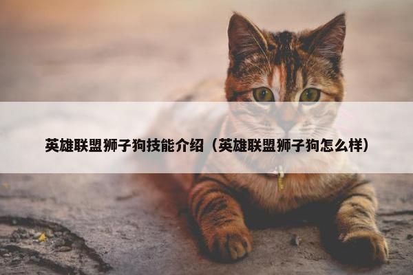 英雄联盟狮子狗技能介绍（英雄联盟狮子狗怎么样）