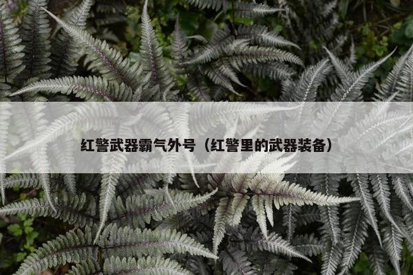 红警武器霸气外号（红警里的武器装备）