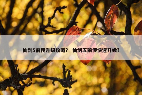 仙剑5前传升级攻略？ 仙剑五前传快速升级？