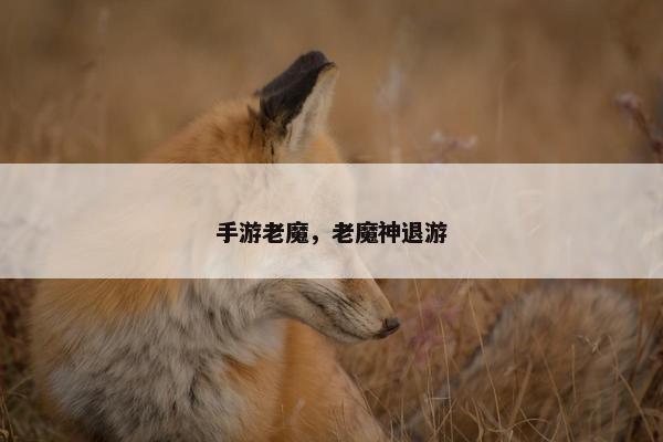 手游老魔，老魔神退游