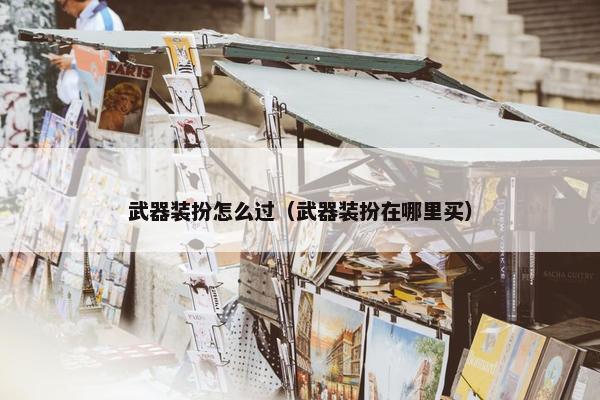 武器装扮怎么过（武器装扮在哪里买）