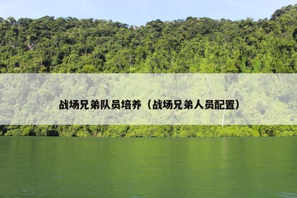 战场兄弟队员培养（战场兄弟人员配置）