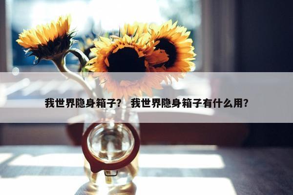 我世界隐身箱子？ 我世界隐身箱子有什么用？